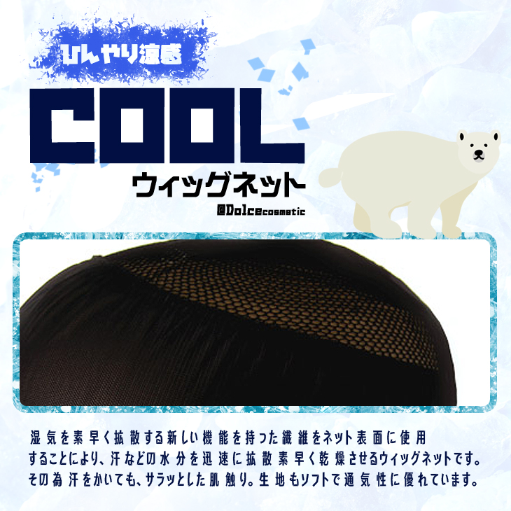 ウィッグネット2